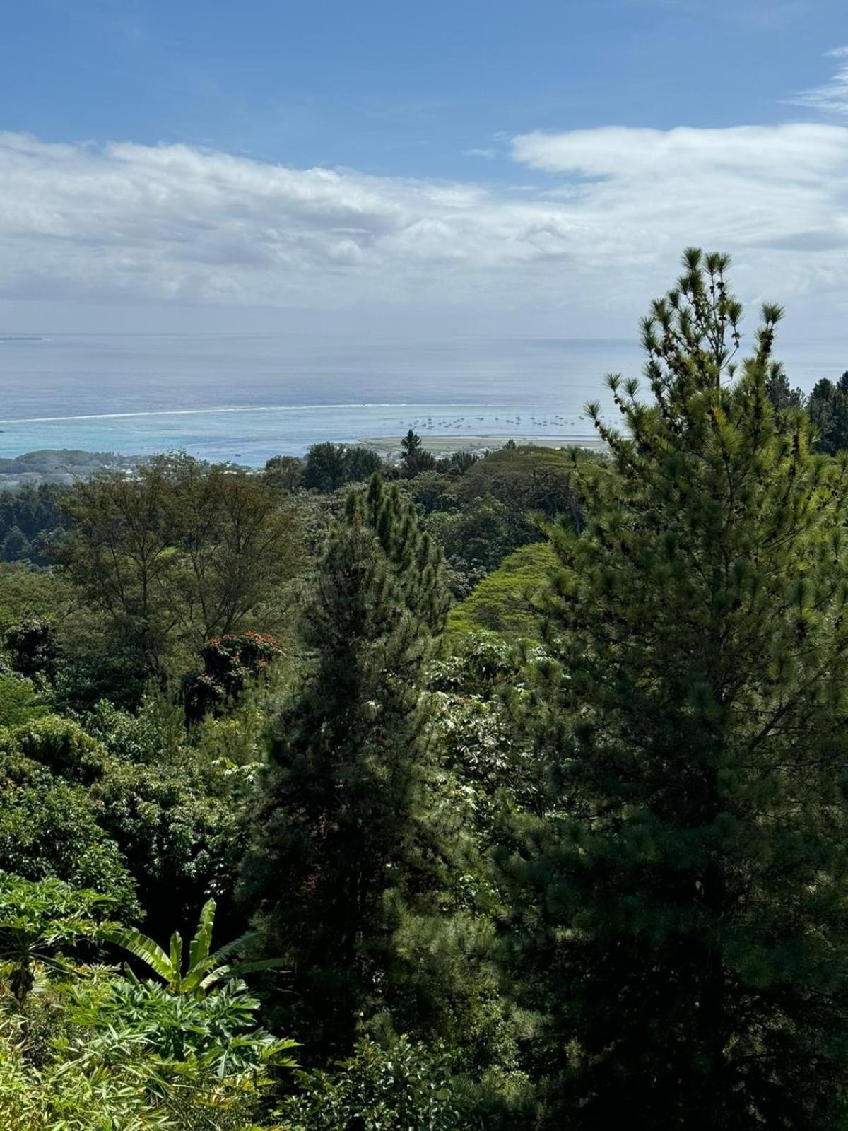 Studio Confort Avec Piscine Et Vue Tahiti Punaauia ภายนอก รูปภาพ