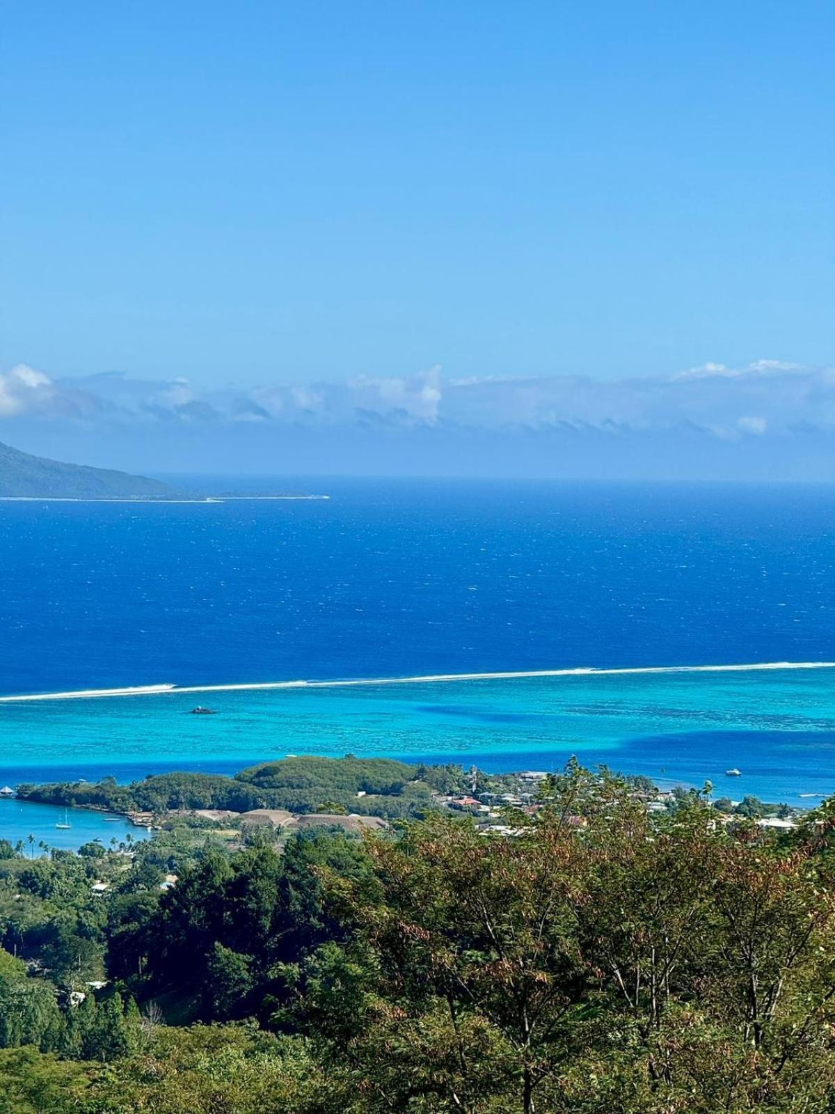 Studio Confort Avec Piscine Et Vue Tahiti Punaauia ภายนอก รูปภาพ