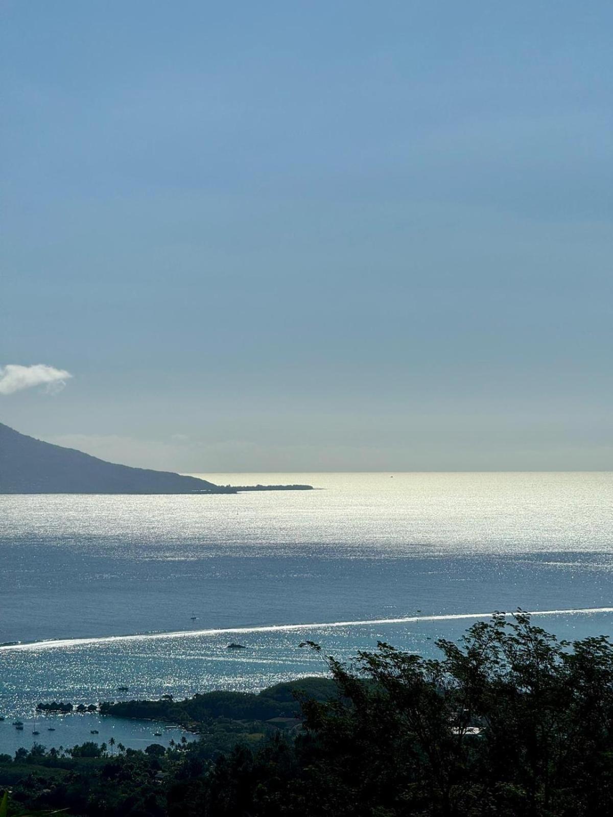Studio Confort Avec Piscine Et Vue Tahiti Punaauia ภายนอก รูปภาพ