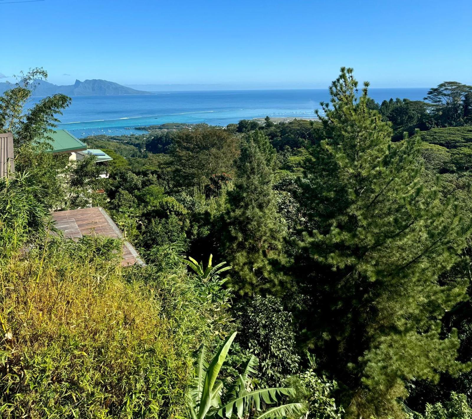 Studio Confort Avec Piscine Et Vue Tahiti Punaauia ภายนอก รูปภาพ